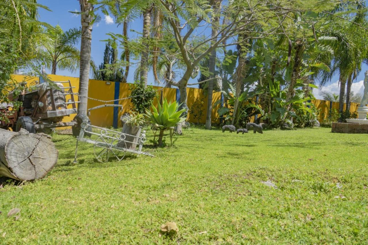 Hotel & Bungalows Las Palmas Villa Corona 外观 照片