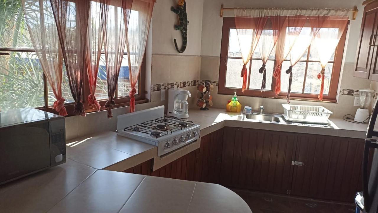 Hotel & Bungalows Las Palmas Villa Corona 外观 照片