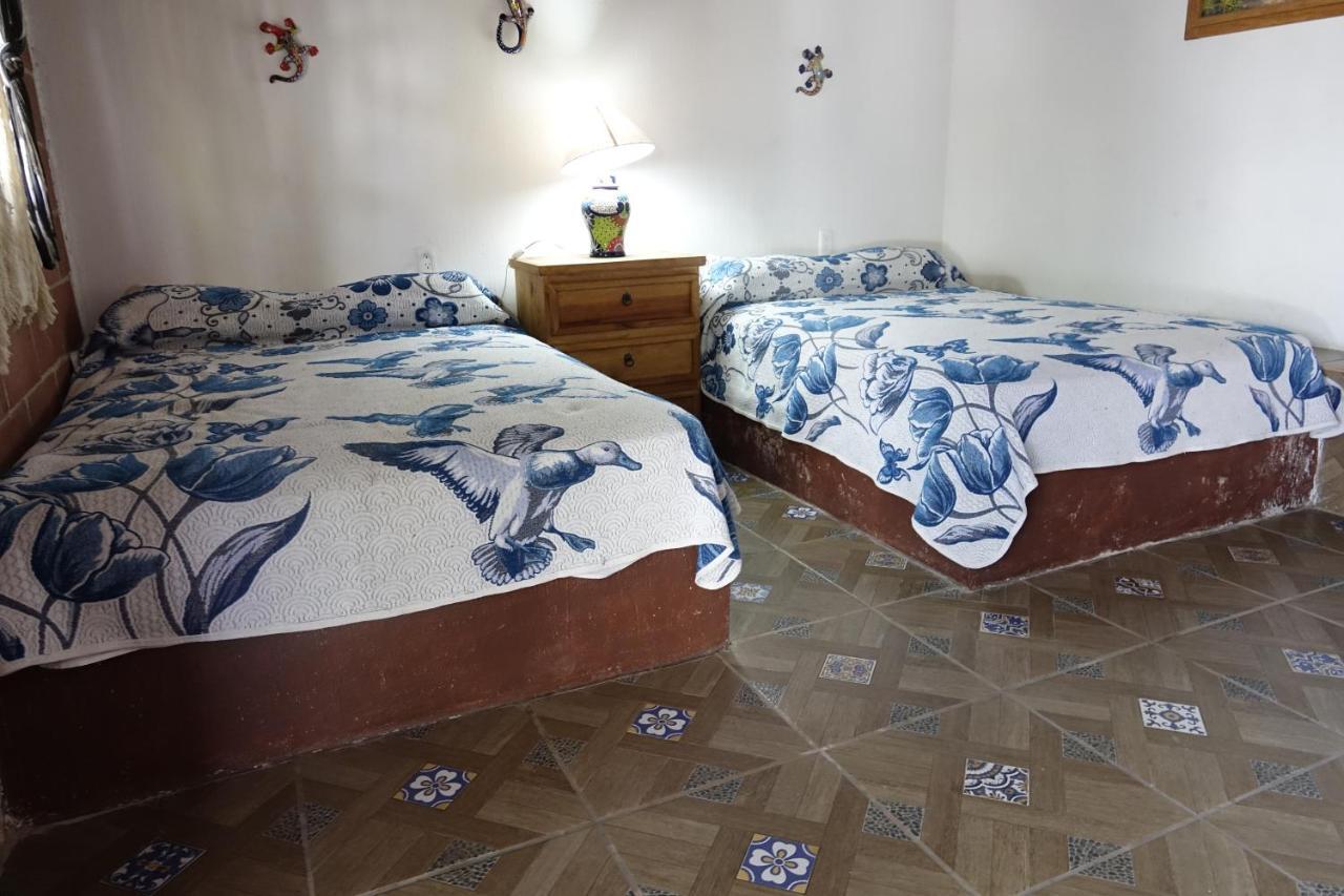 Hotel & Bungalows Las Palmas Villa Corona 外观 照片