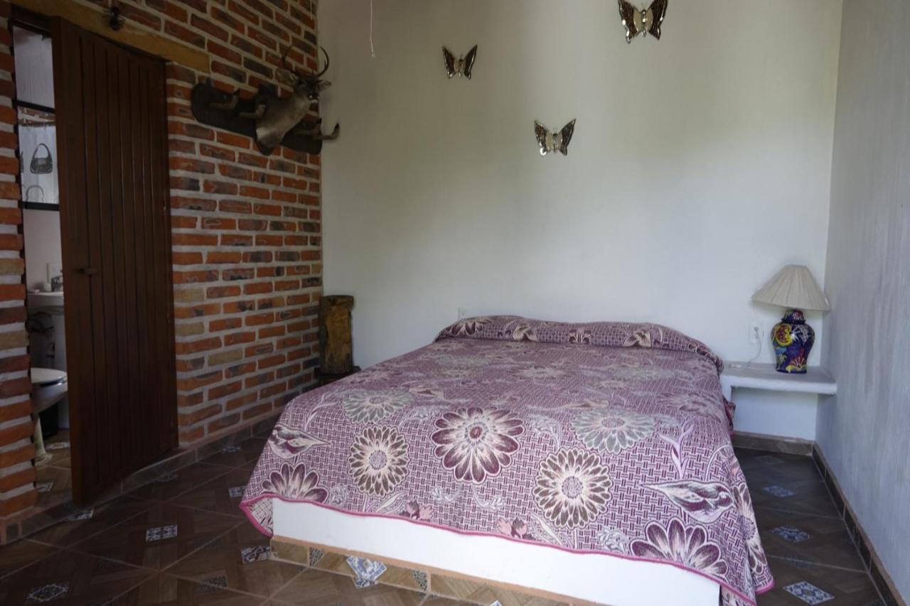 Hotel & Bungalows Las Palmas Villa Corona 外观 照片